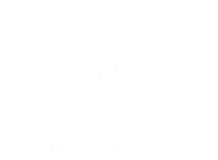 Driven Limo - home